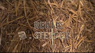 Прамяністы сеннен