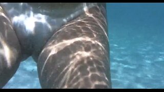 Panas cah ayu nang d, banyu ing porto da barra salvador bahia