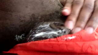 מיין ערשטער וויד