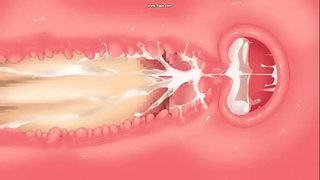 Jyoshikosei li washitsu mill Misooden