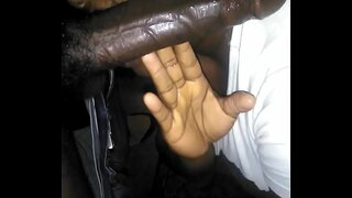 Կեսօրին բարձրացրեք գլուխը ձեւակերպել