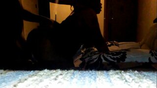 Kasni noćni sjedjeljka